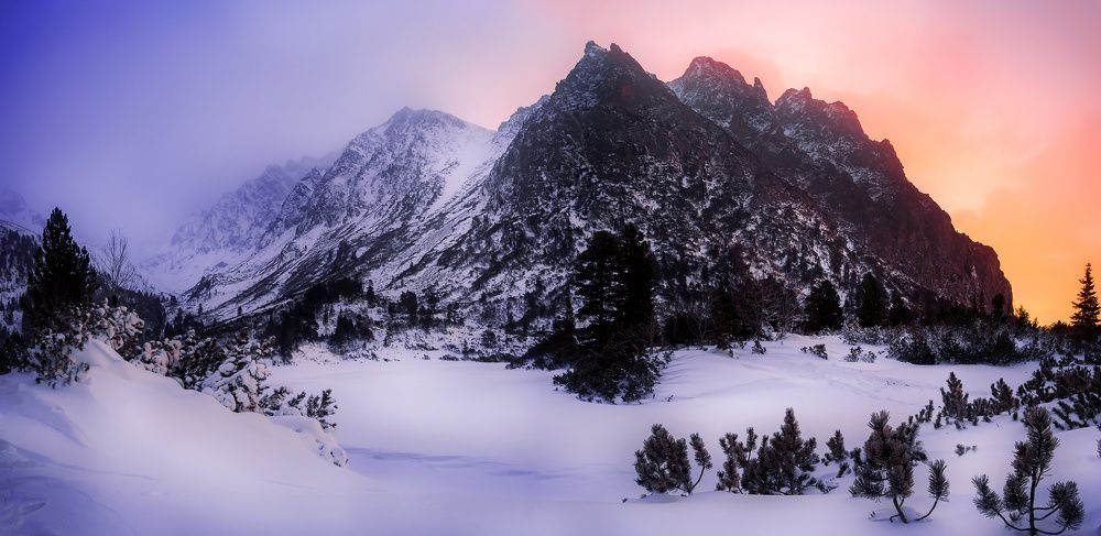 Photograph by David Ilkovic