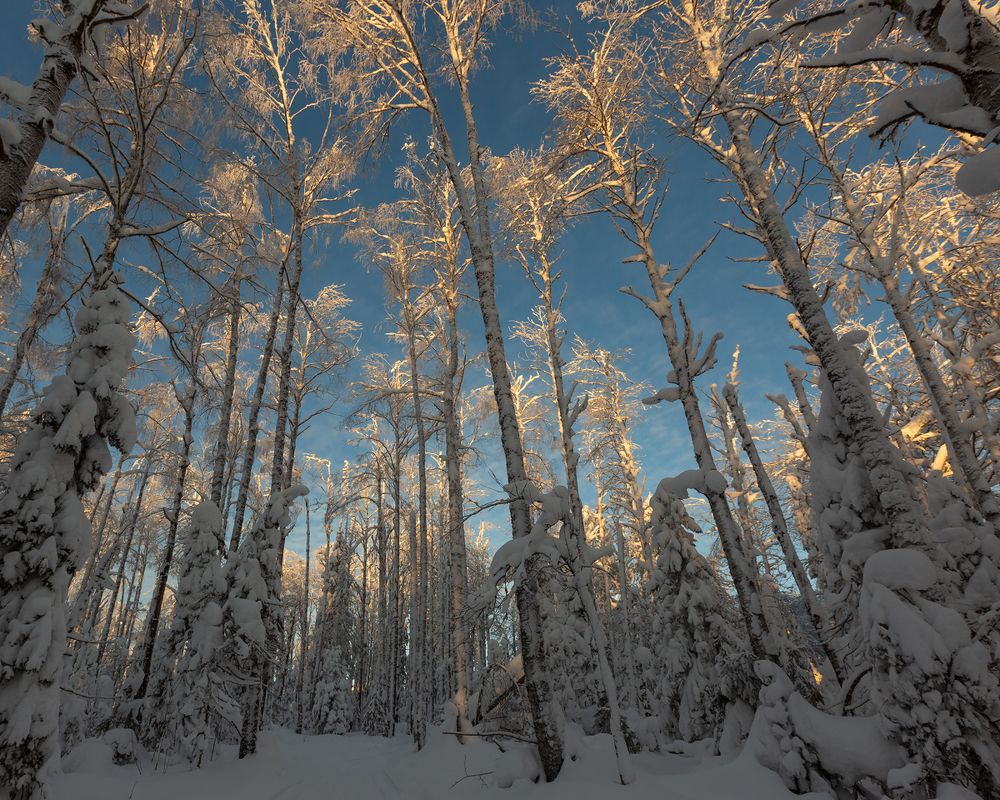 Photograph by Александр Ильин