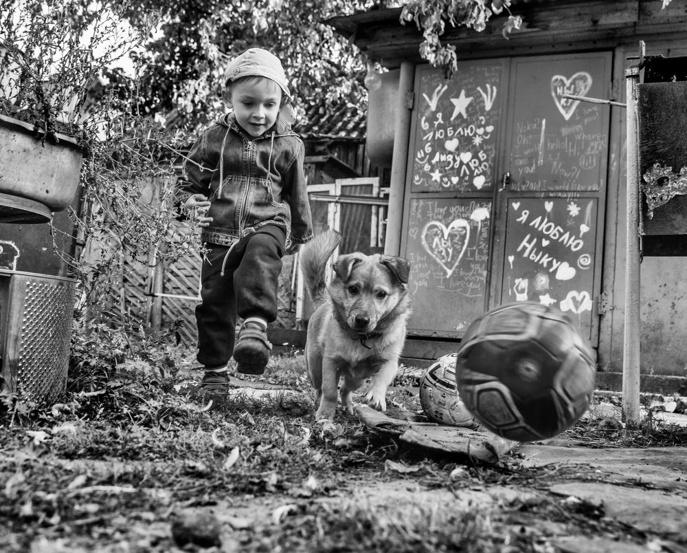 Шарик, дай пас!