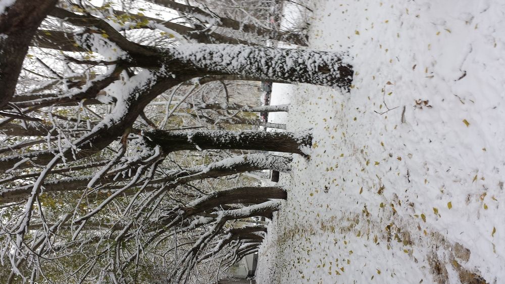 Photograph by ОЛЬГА Ситумирова