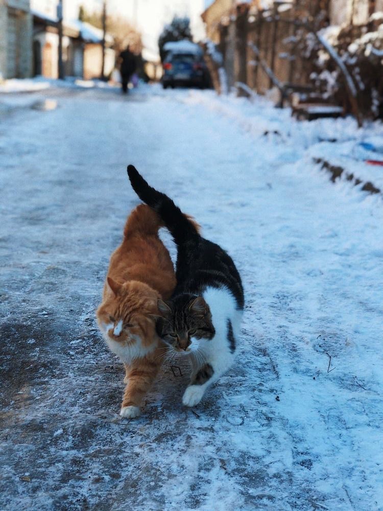 Photograph by Eleonora Hrybniak