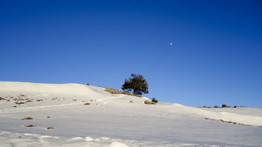 Фотография автора Liliana C.