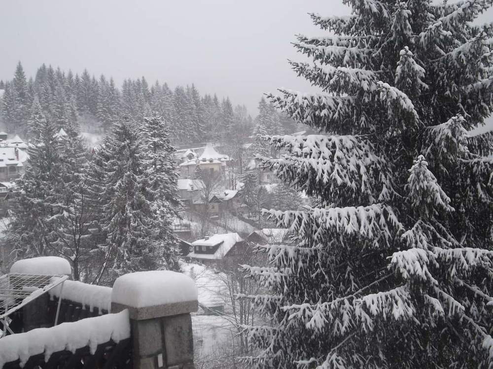 Winter Landscape