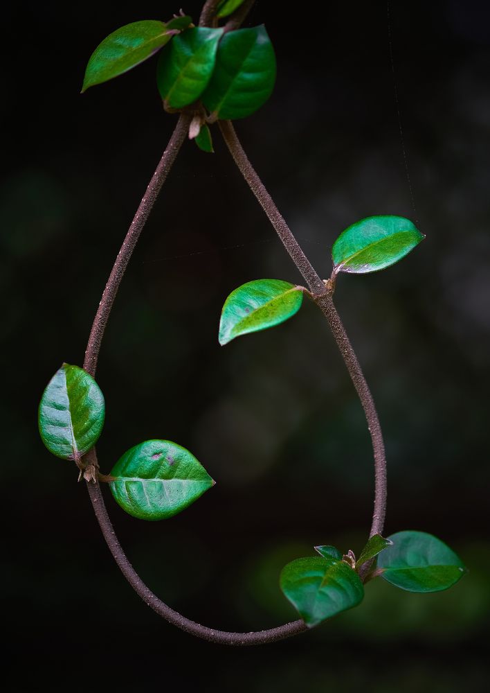 Photograph by Евгений Фук