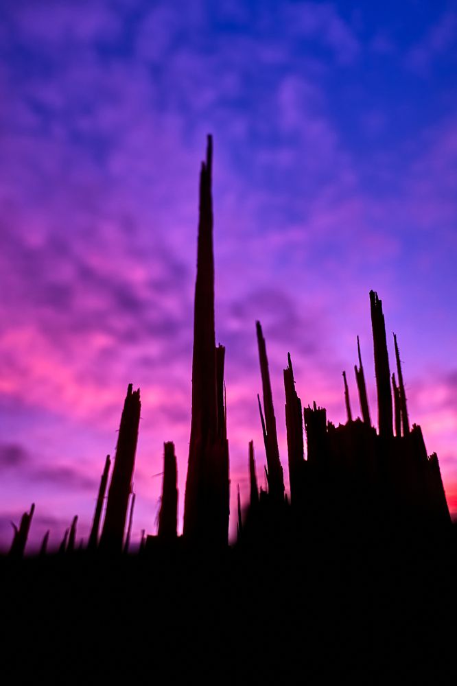 Photograph by Евгений Фук