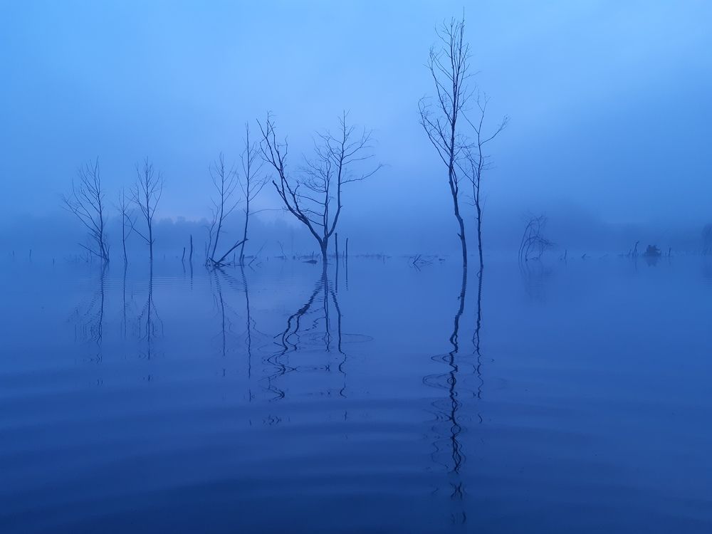 Photograph by Михаил Бронников