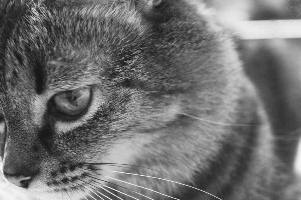 Photograph by Вита Заричук