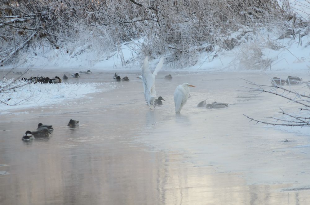 Photograph by Руслан Савченко