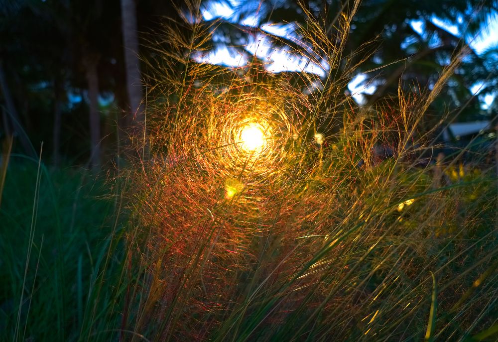 Photograph by Евгений Фук