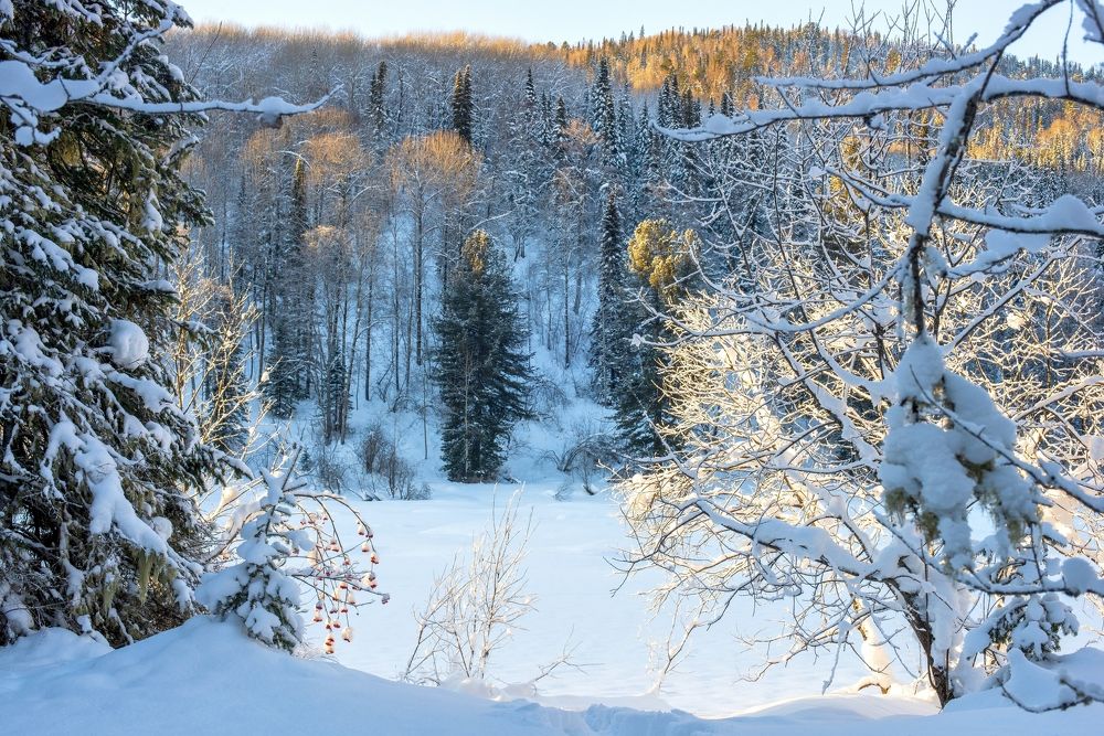 Река Кия_ зимнее утро