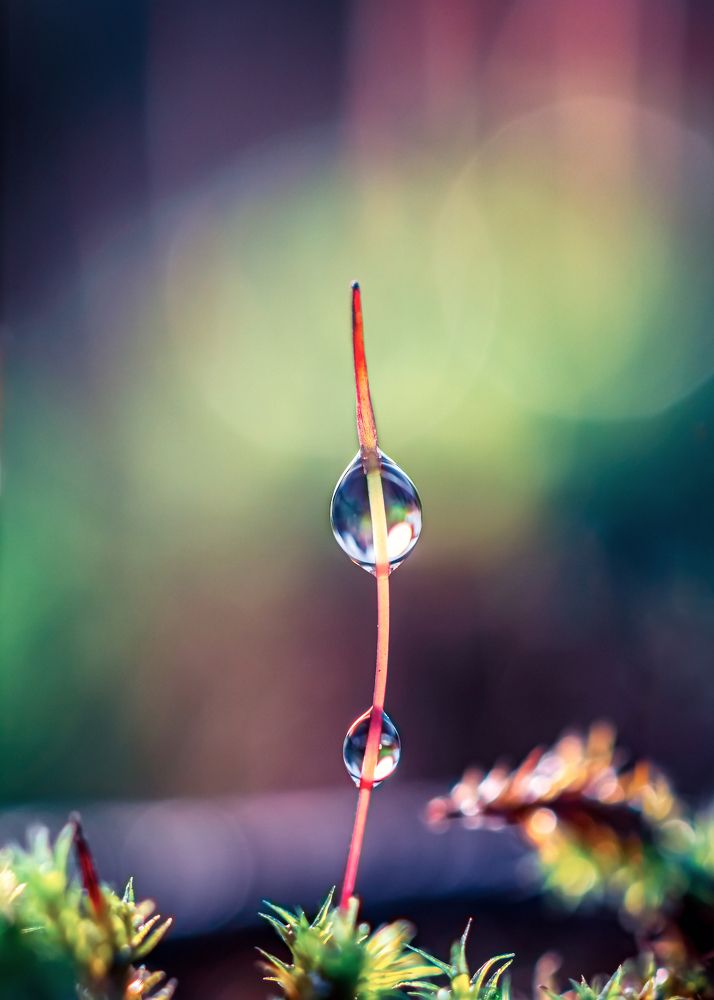 Photograph by Inna Etuvgi