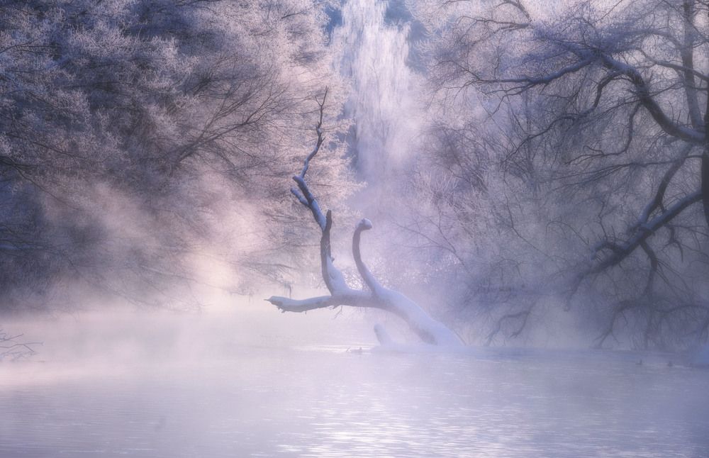 Photograph by Andrey Kozlov