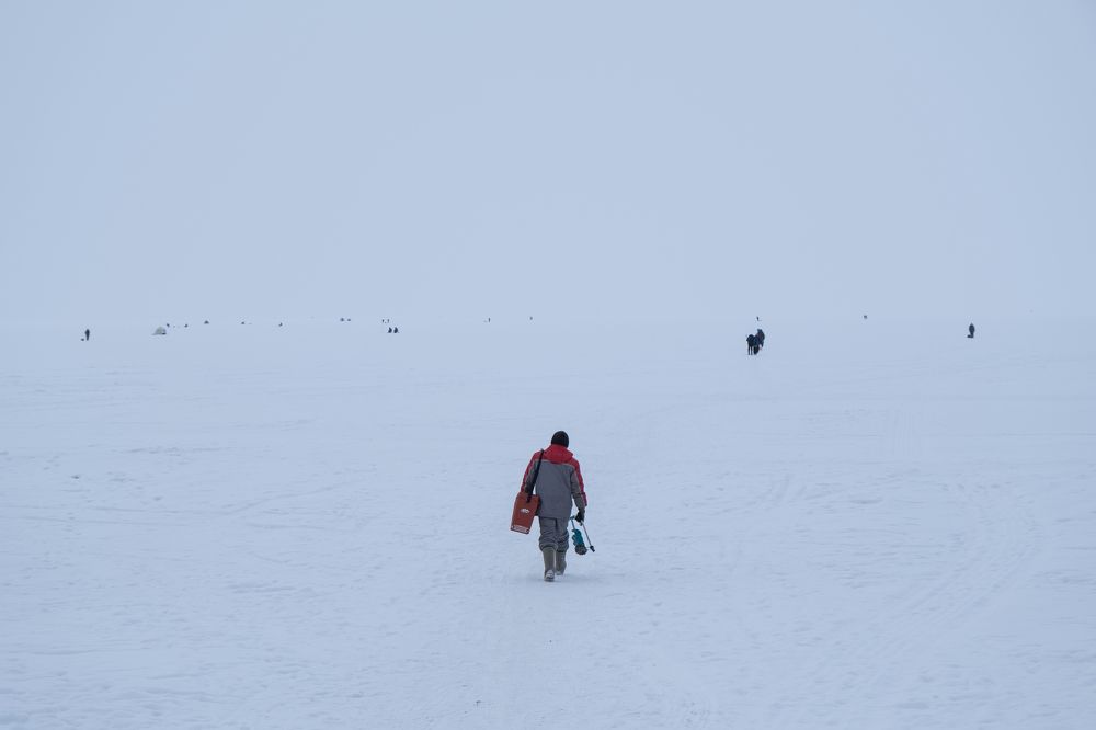 Photograph by Юлия Паршакова