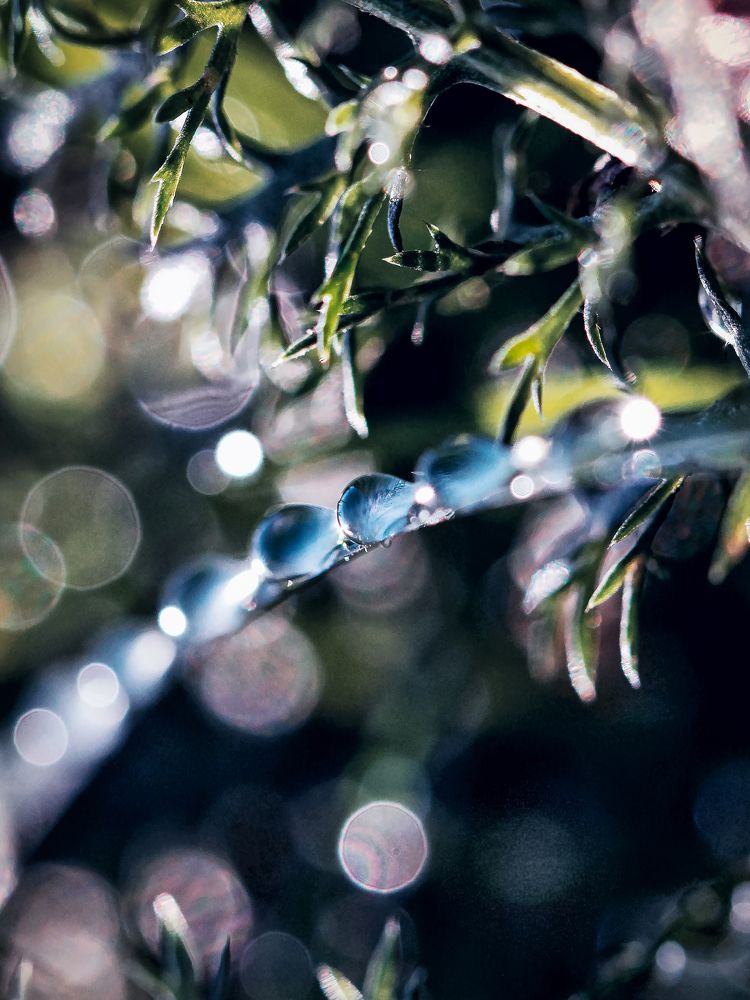 Осадки, времена года и мечты