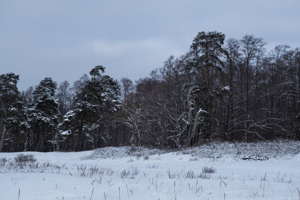 Photograph by Юлия Паршакова