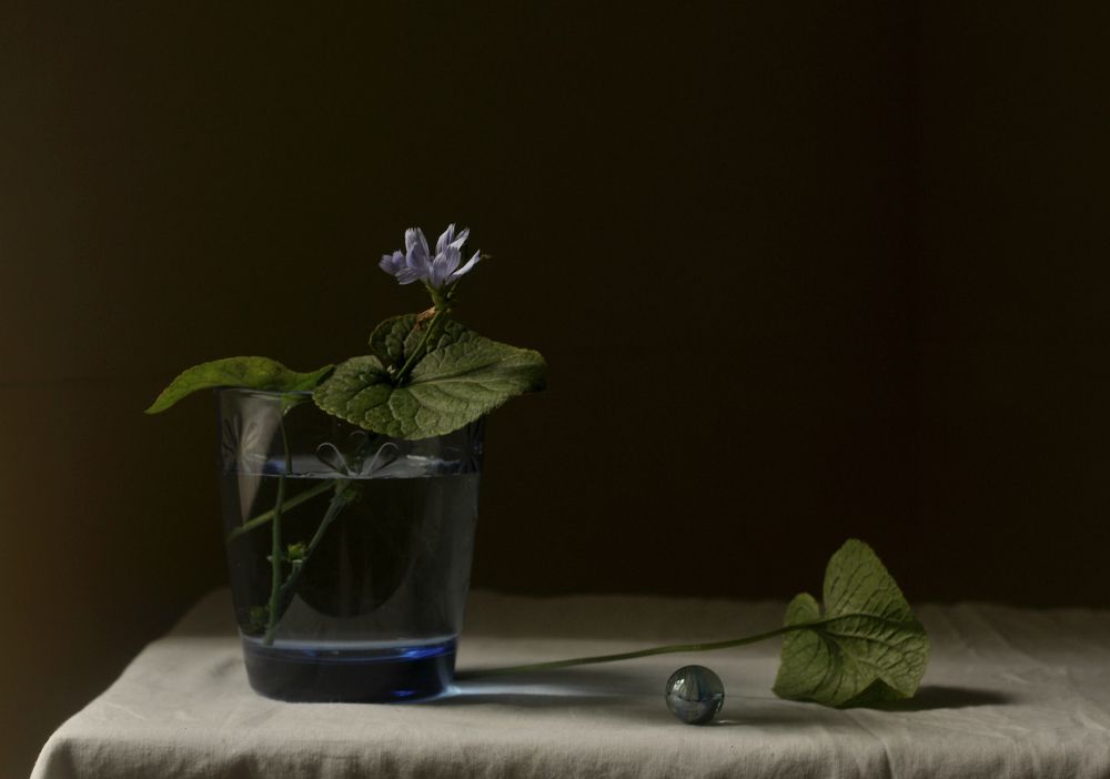 Photograph by Ирина Ямчицкая