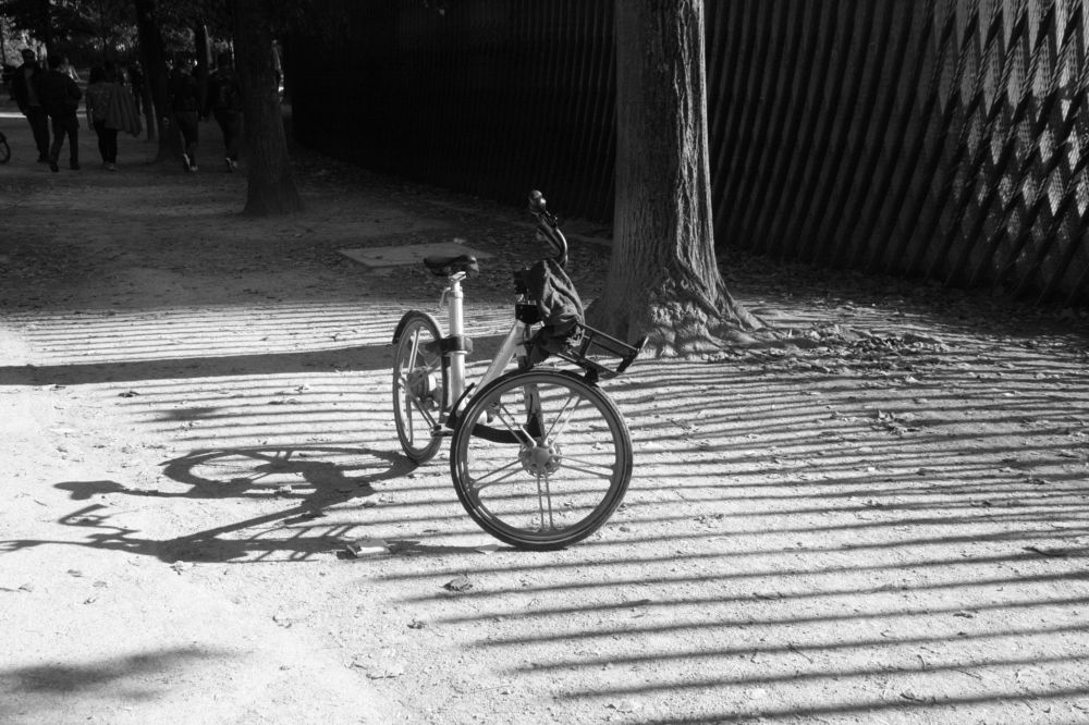 Photograph by Nadezhda Bakina