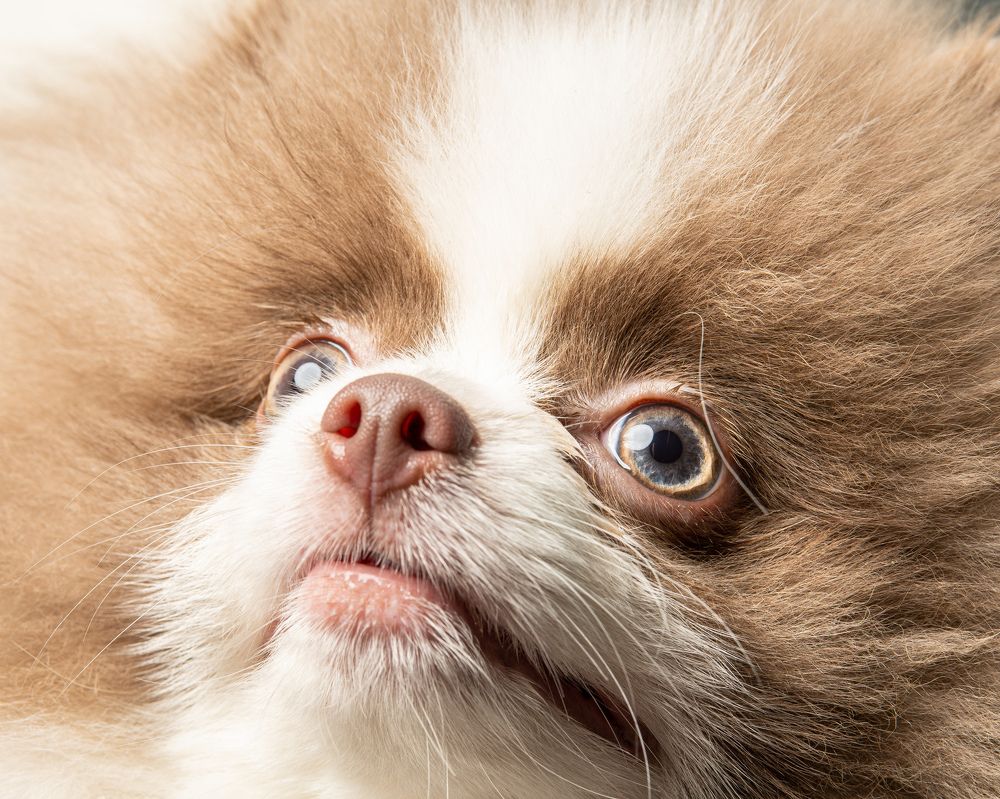 Photograph by Иван Грачев