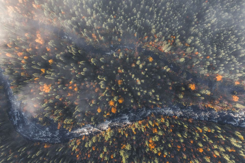 Photograph by Андрей Сачков