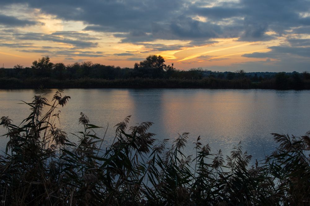 Photograph by Наталья Подмогильная