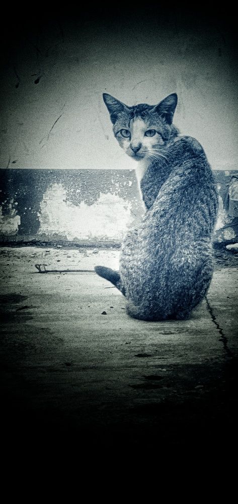 Photograph by RICHARD BRIONES