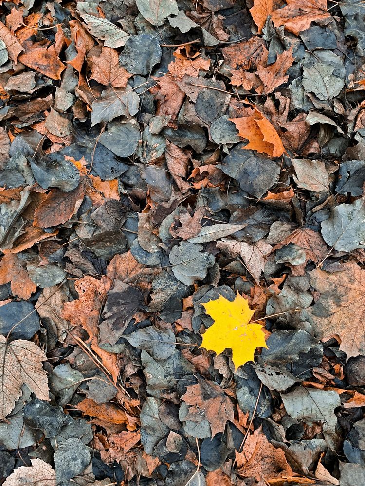 Photograph by Alexey Belov