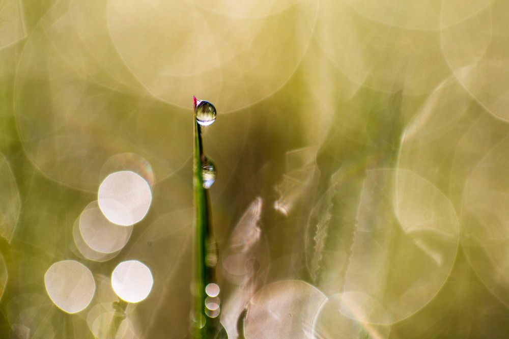 Фотография автора Josef Nový