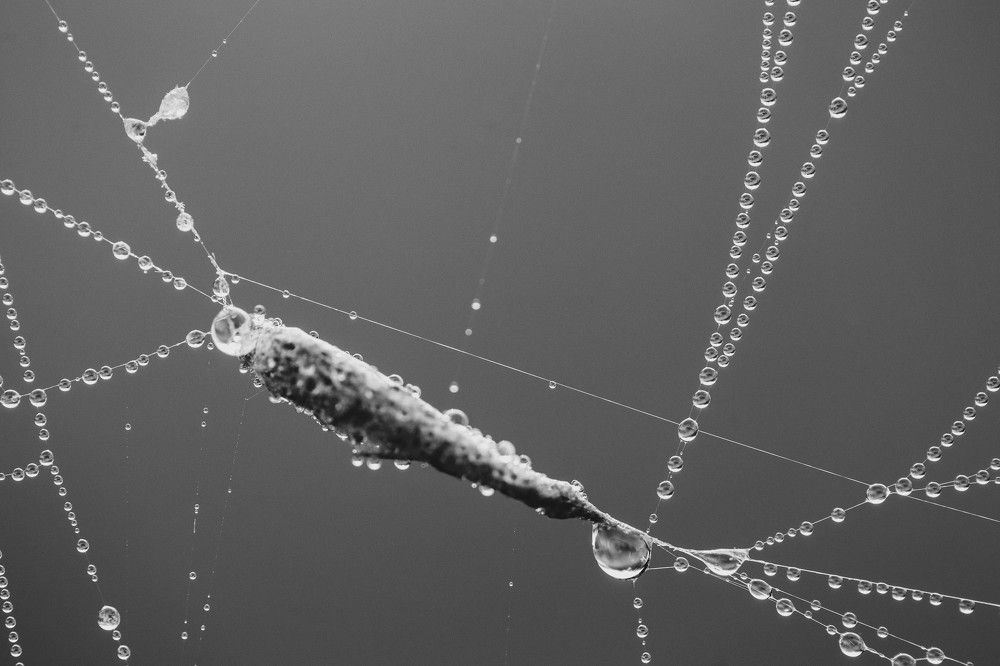 Фотография автора Josef Nový