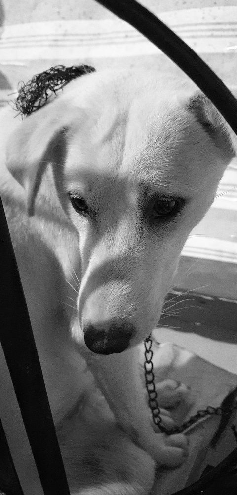 Photograph by RICHARD BRIONES