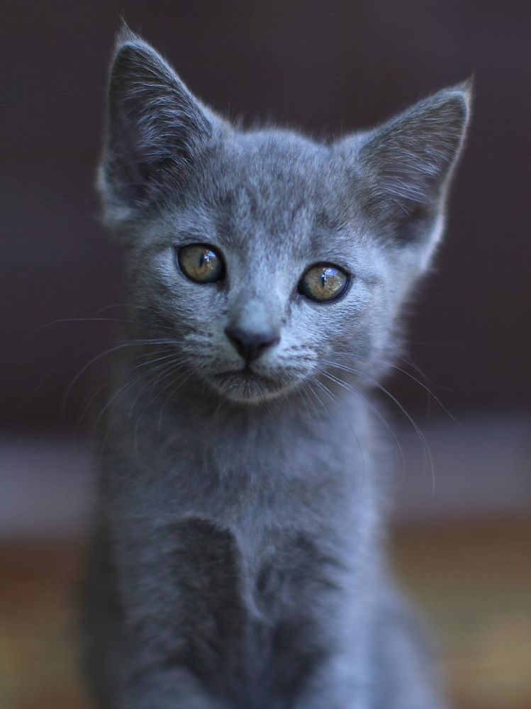 Фотография автора Віталій
