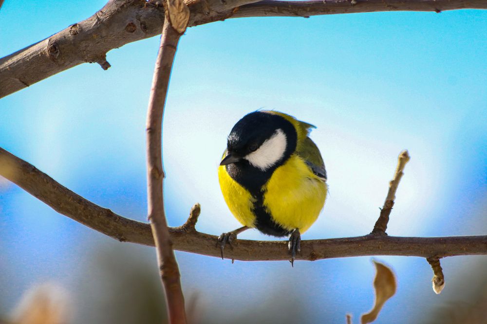 Photograph by Дмитрий Тимин