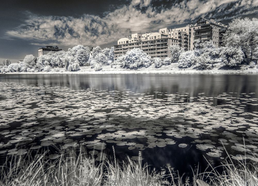 walking on the infrared