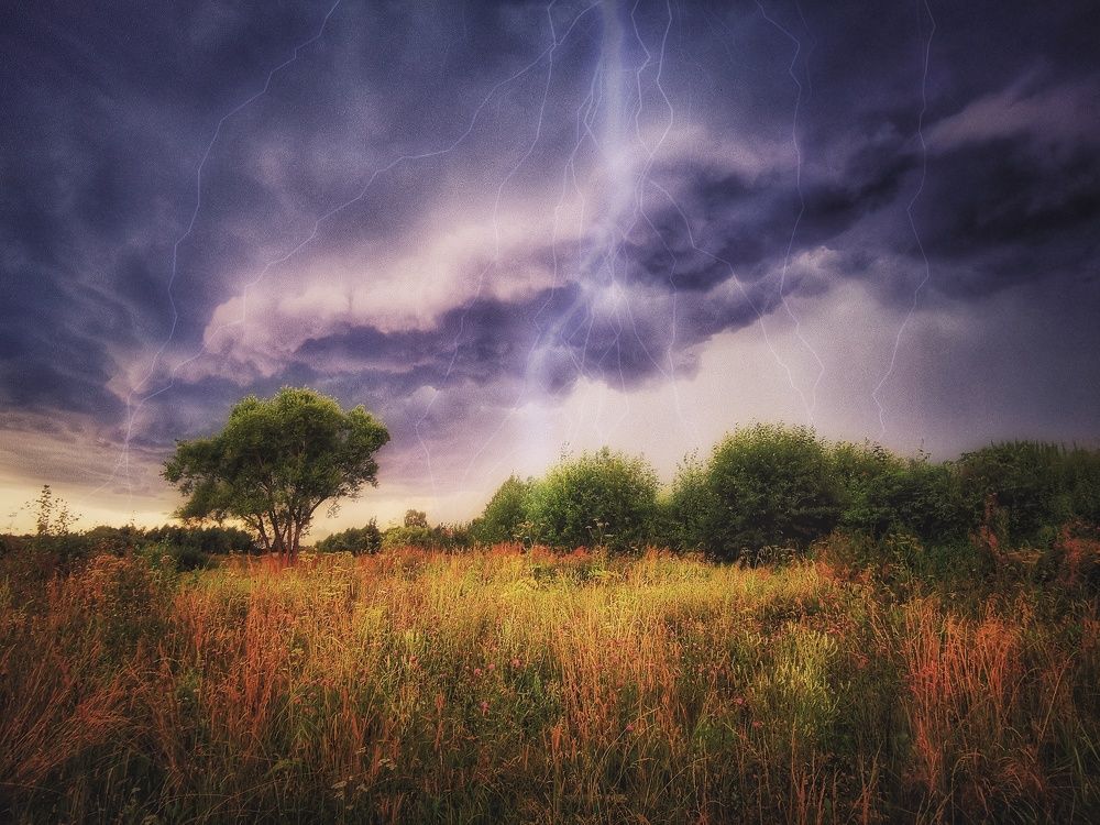 Photograph by Ekaterina Fadeeva