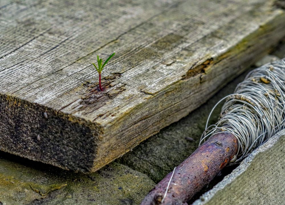 Photograph by Сергей Челахов