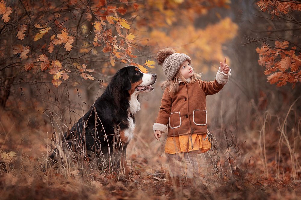 Лучший друг