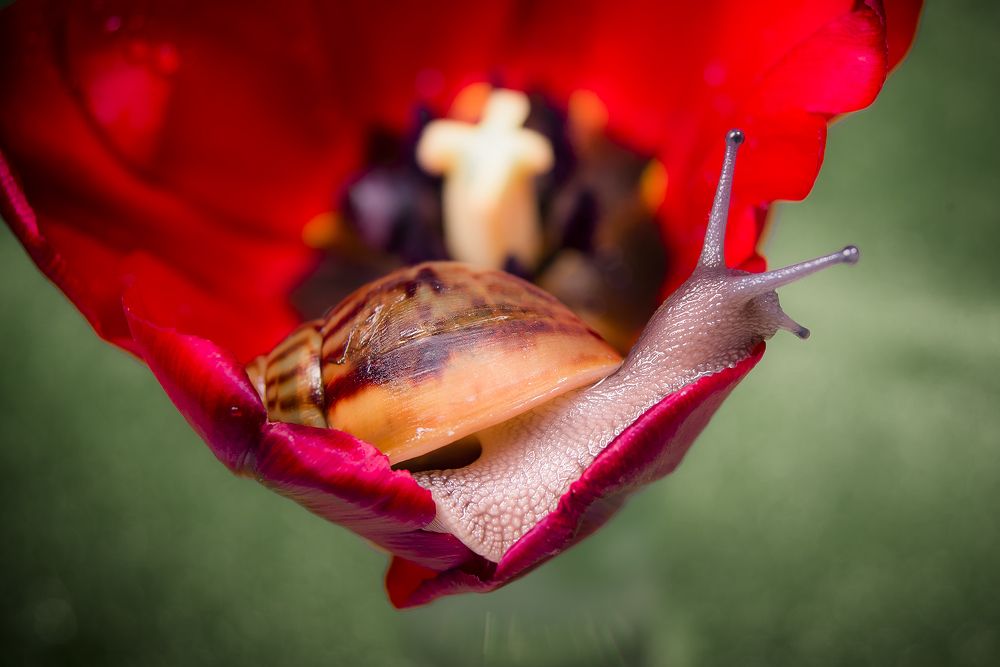 Photograph by Ekaterina Fadeeva