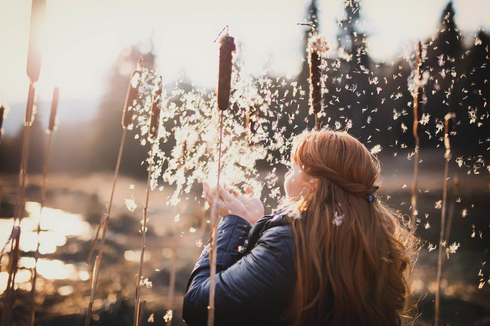 Фотография автора Josef Nový