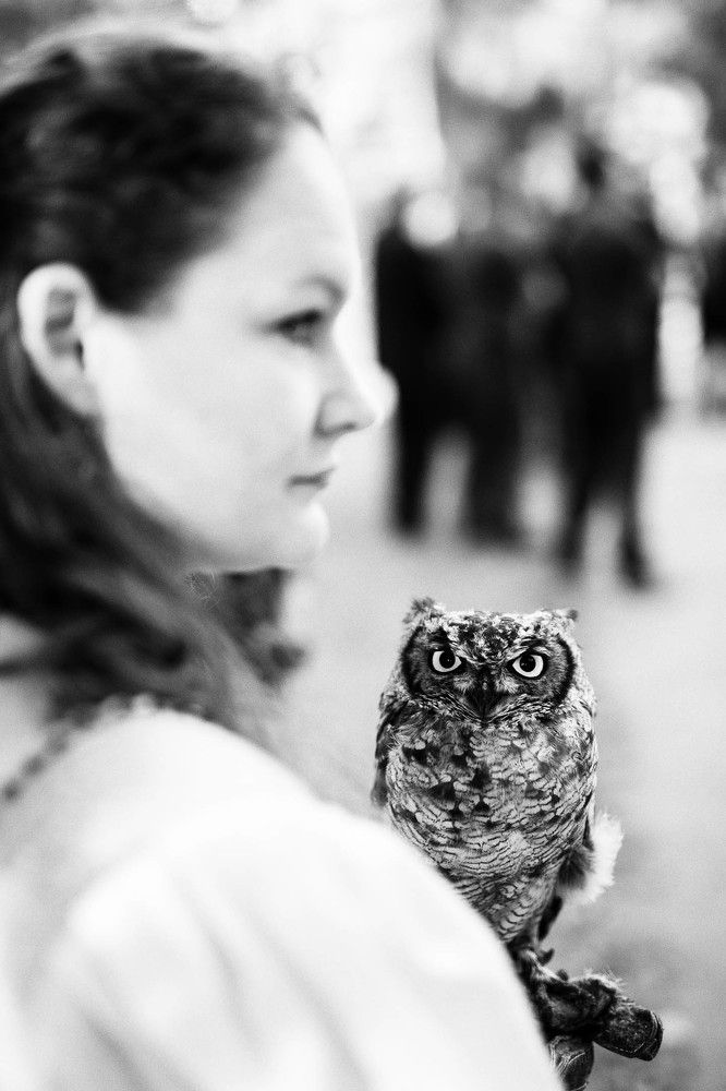 Фотография автора Josef Nový