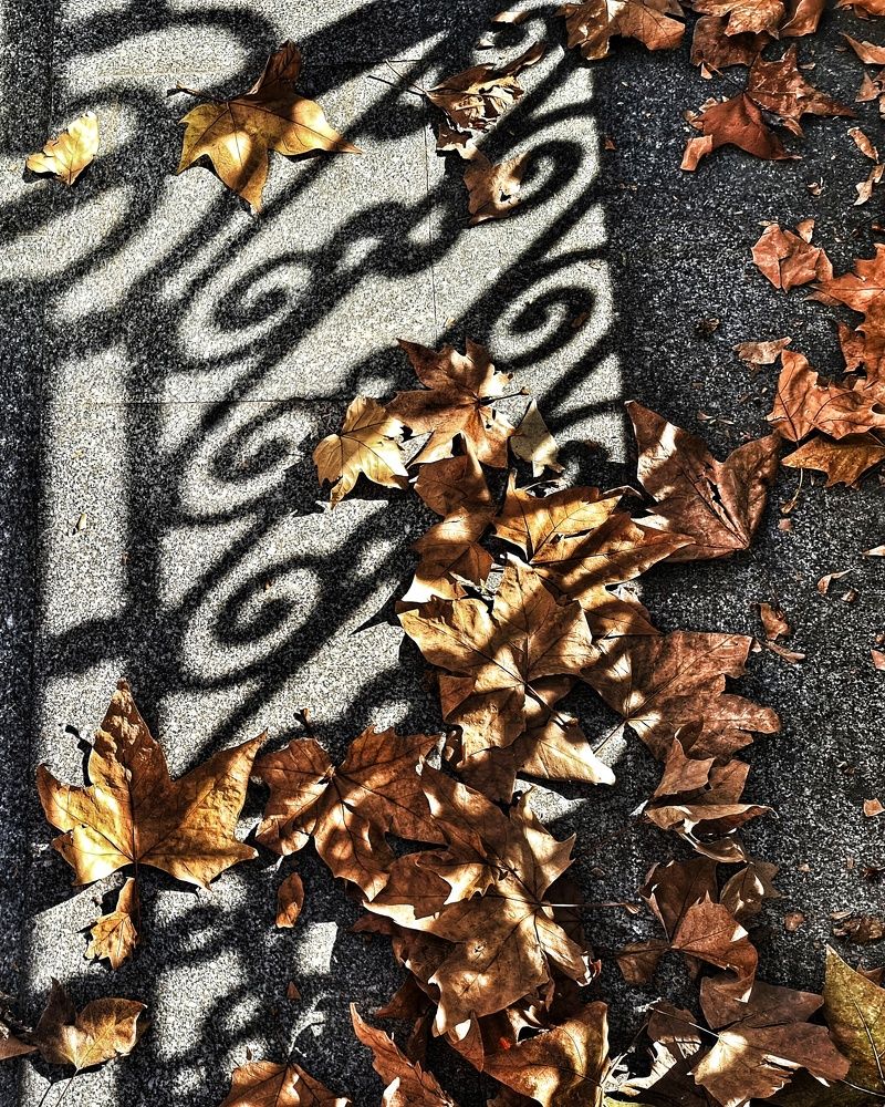 Фотография автора Anavazu