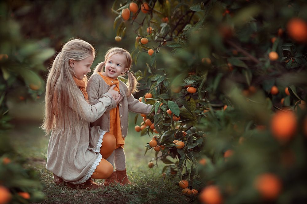 Мандариновое счастье