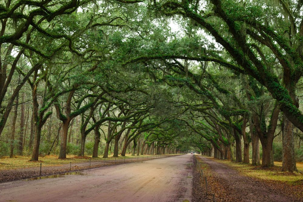 Photograph by Gargee Chowdhury