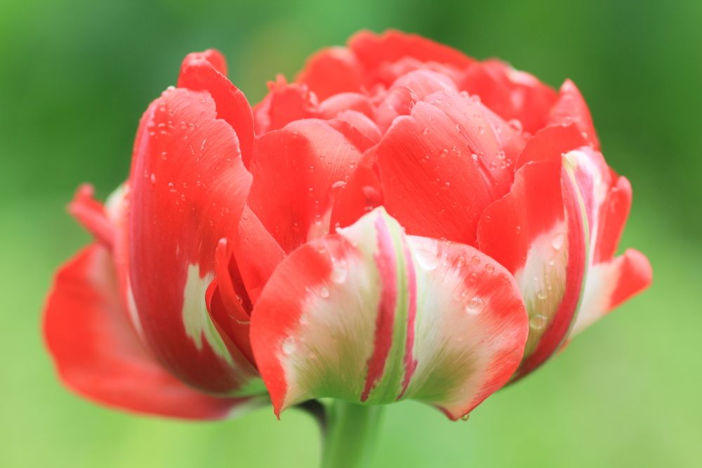 Photograph by Анастасия Сыротюк