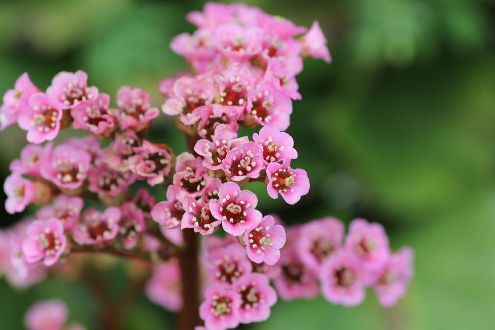 Photograph by Анастасия Сыротюк