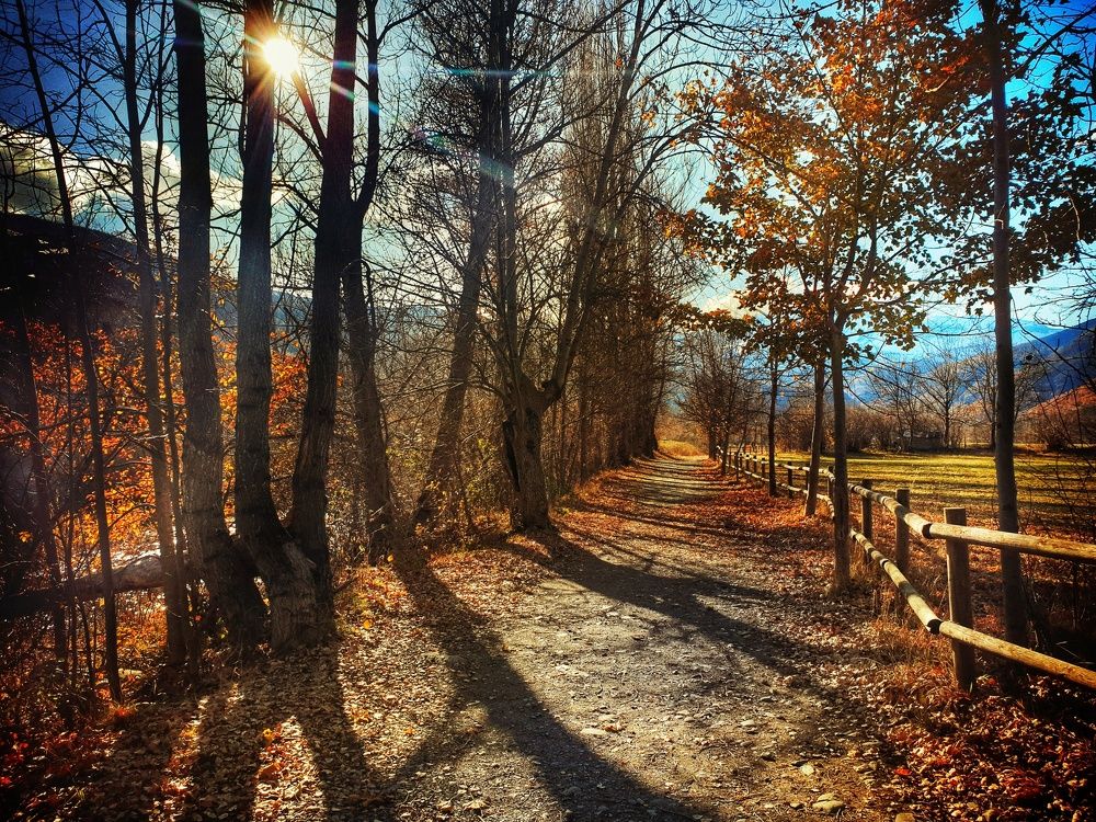 Sunny winter in Benasque