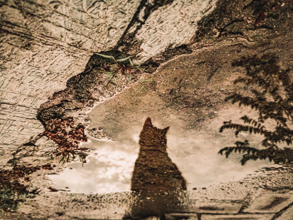 Photograph by Eri Yulianto