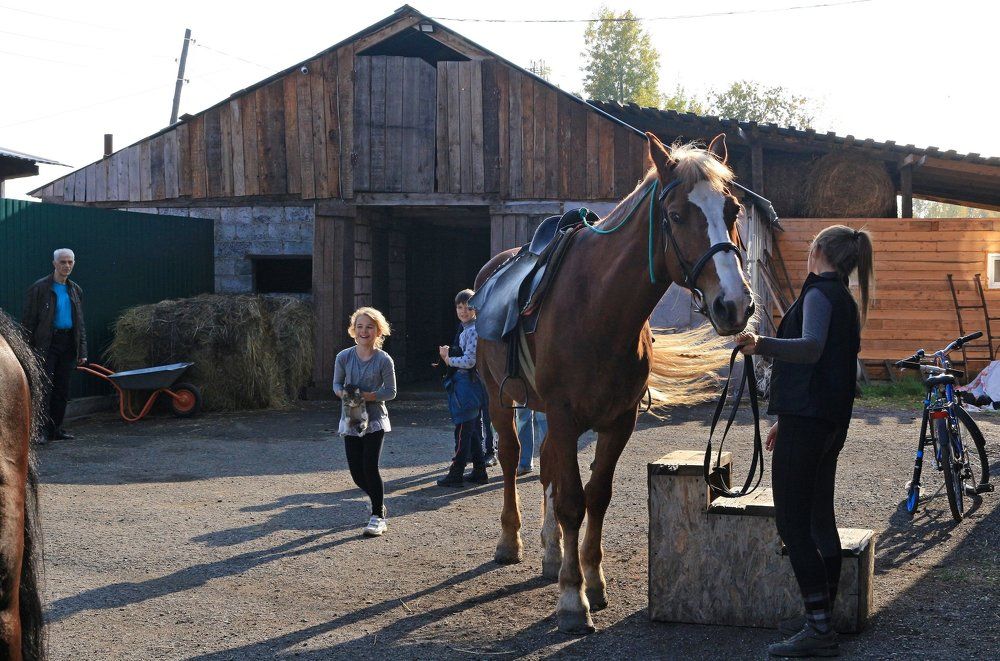 Photograph by Рашид Шайдулин