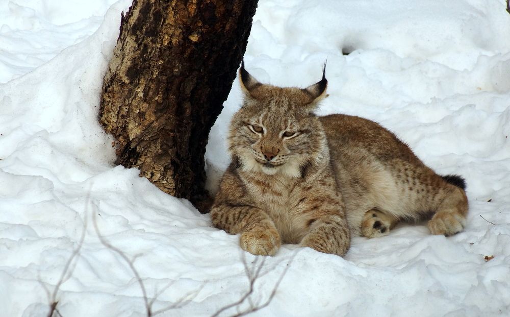 Photograph by Виктор Игнатенко.
