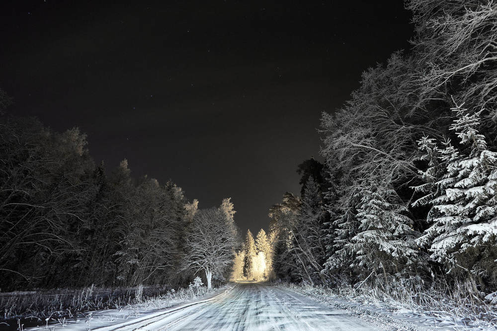 Photograph by Михаил Царук