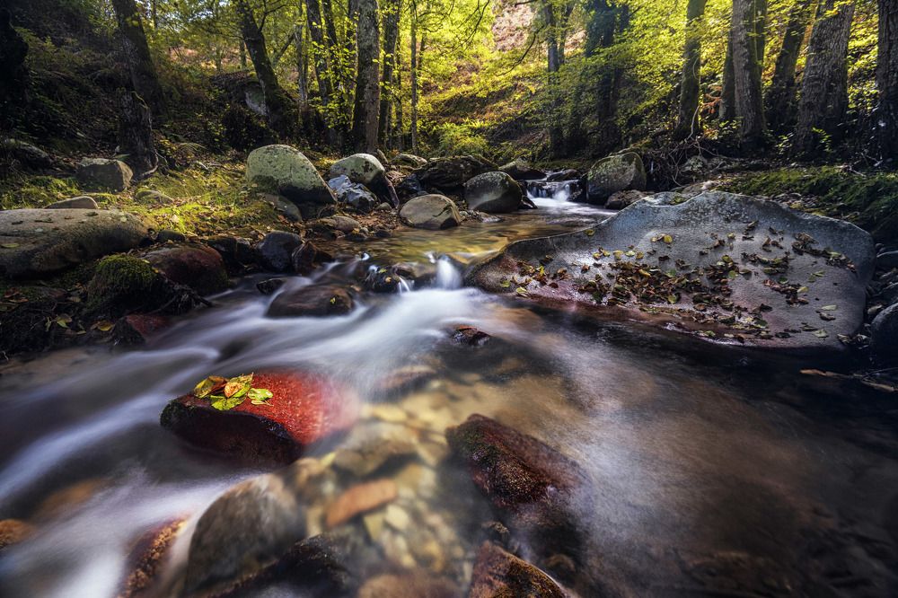 Photograph by Noureddine Belfethi