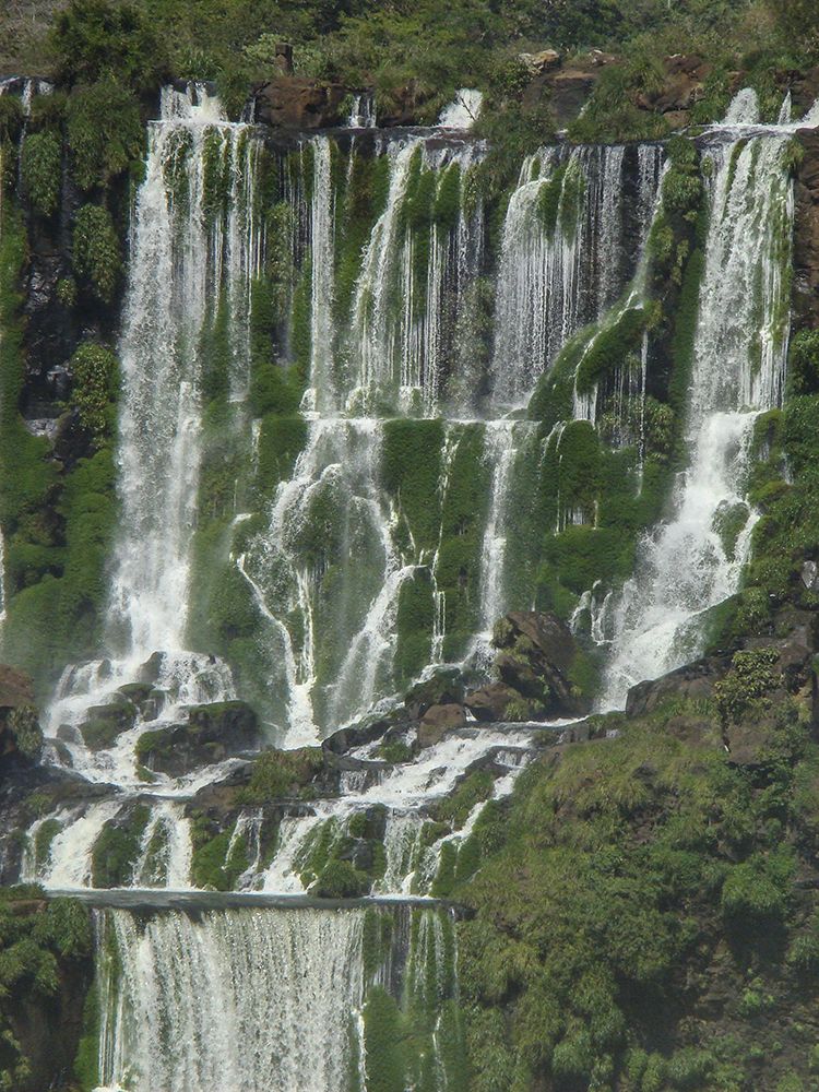 Фотография автора Marina